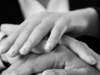 How to Build a Cohesive Team (Bound for Success)