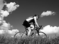 The Benefits of Starting an Employee Wellness Program